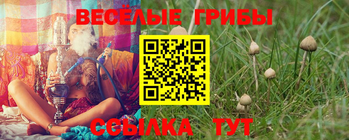 Галлюциногенные грибы ЛСД  Галлюциногенные грибы Psilocybe  Ростов Великий  Вход с VPN 