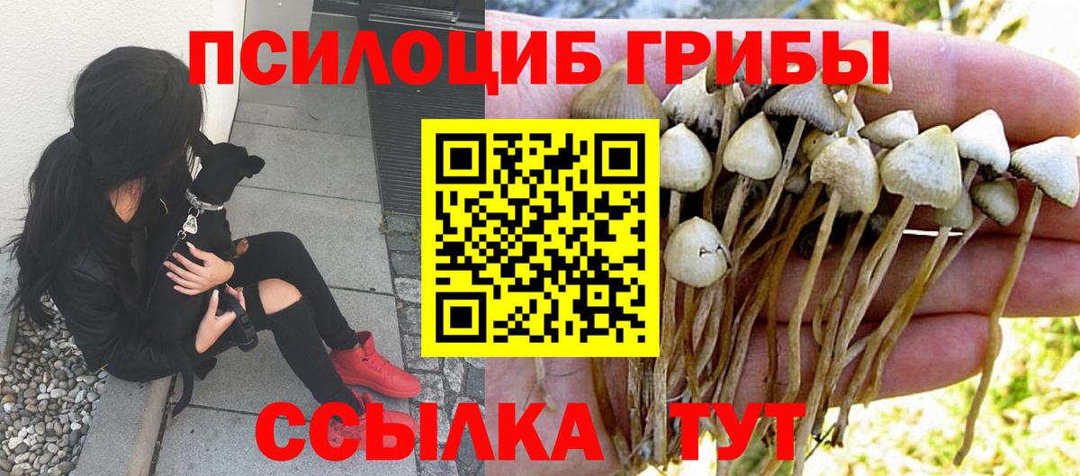 Мефедрон   Гашиш  Марихуана  Меф  Ростов Великий  ЭКСТАЗИ  ГАШ  Вход с VPN  Кокаин 